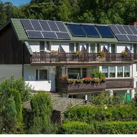 Aura شكلارسكا بوريبا